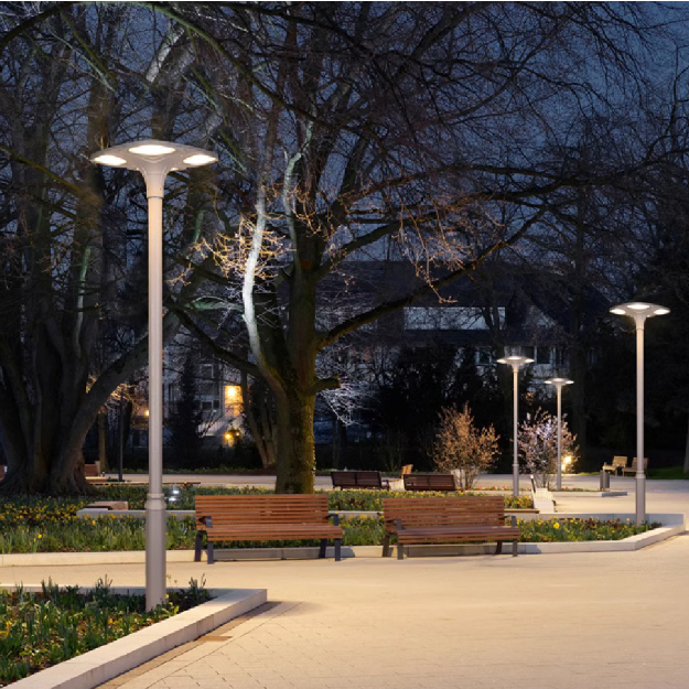 ����·����Ҷ�ݿ�